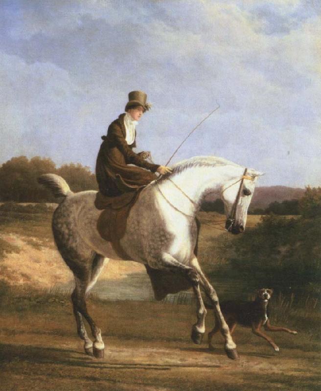 Jacques-Laurent Agasse miss cazenove on a grey hunter oil painting image